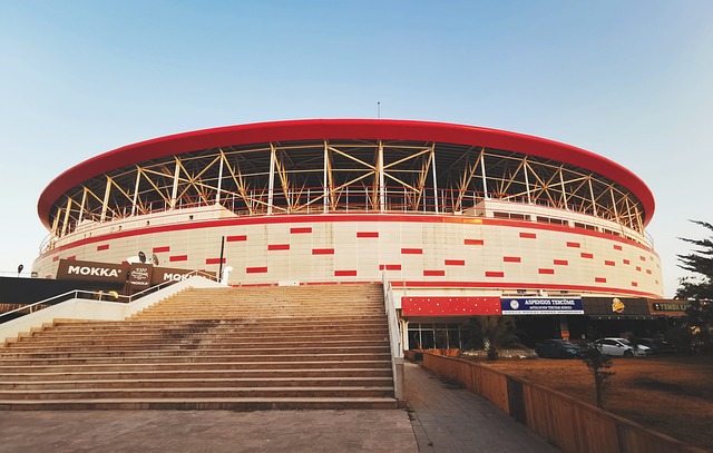 优势的双重 优势的双重