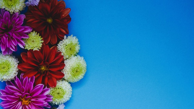 刻受伤的影 刻受伤的影