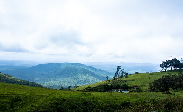 如何灵活运 如何灵活运
