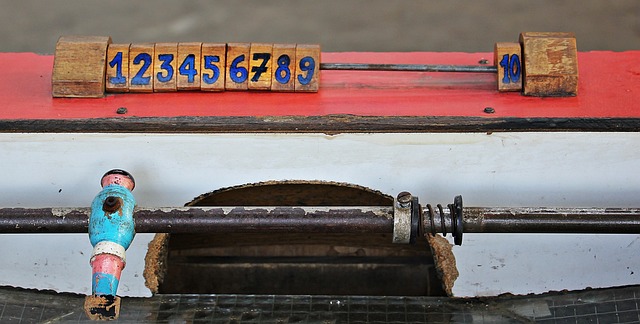 她在欧洲联 她在欧洲联