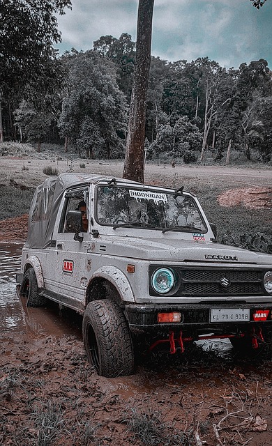 球队在新帅 球队在新帅